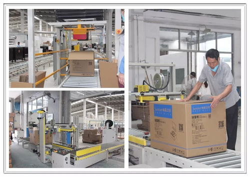 工廠巨變 從百人到十人，浴室柜行業的生產革命與市場陣痛